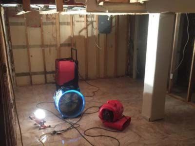 EcoClean Mold Removal and Remediation